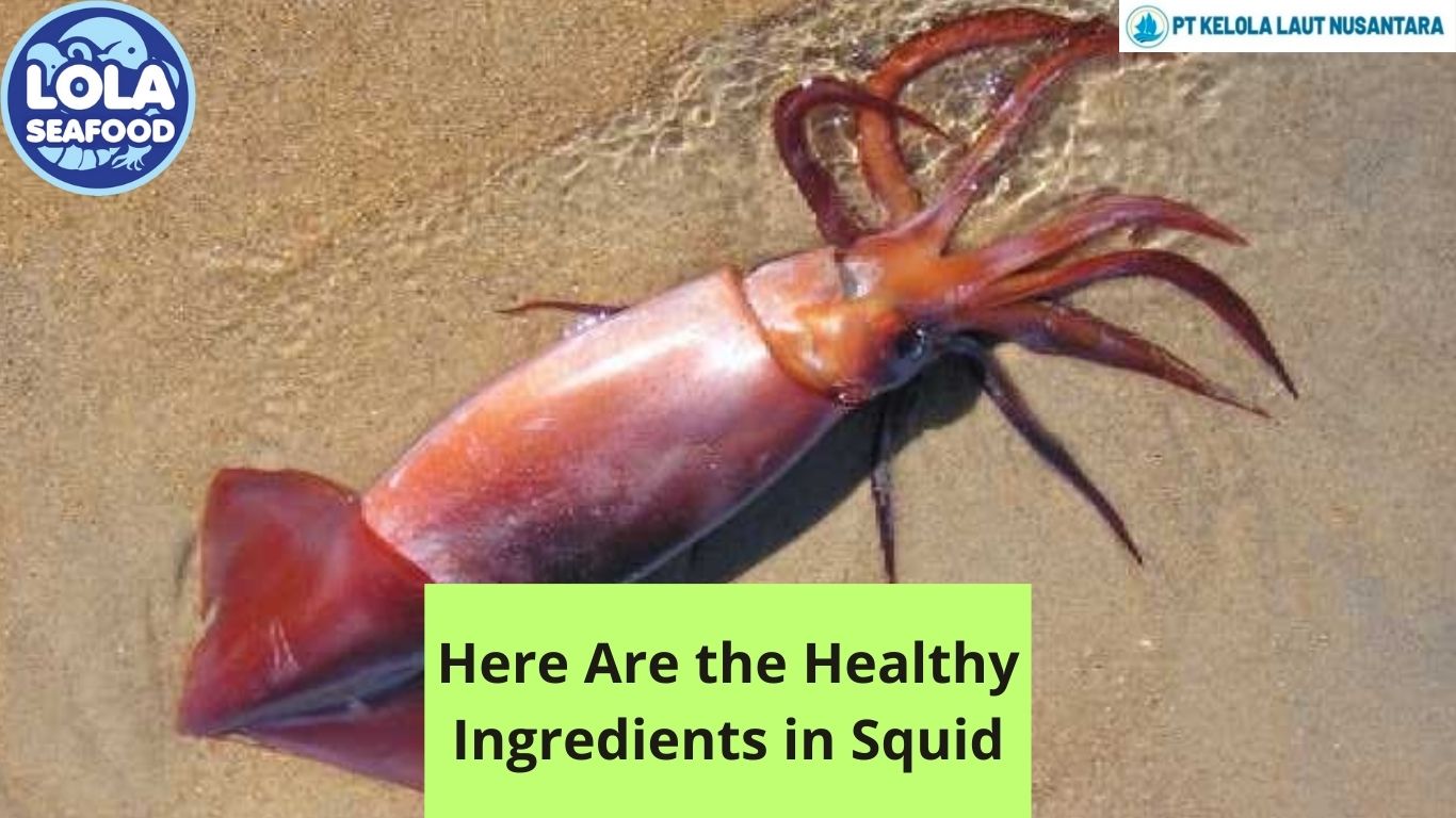 Here Are the Healthy Ingredients in Squid